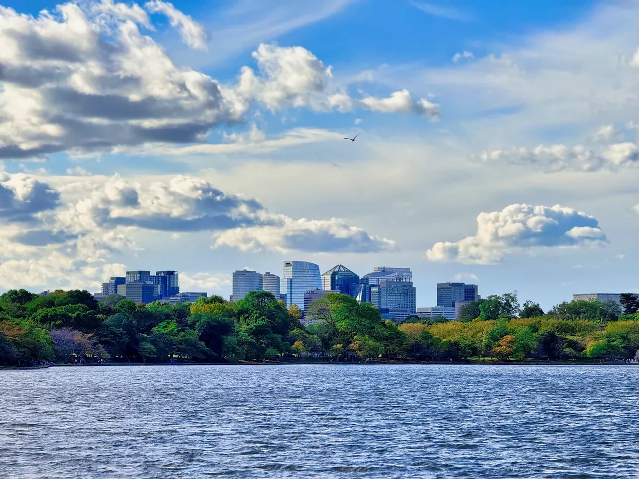 Arlington skyline · Arlington County